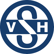 vshlogohvidbaggrund